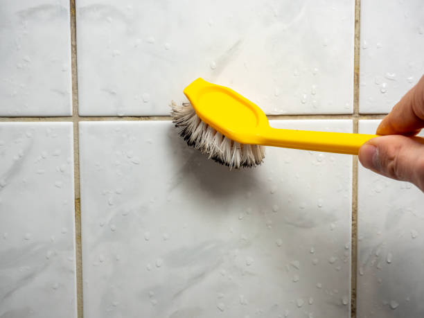 Best Mold Remediation Services  in Tylertown, MS