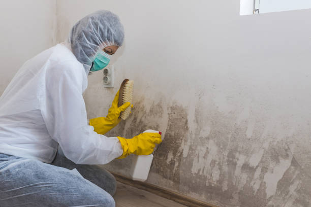 Best Mold Testing  in Tylertown, MS