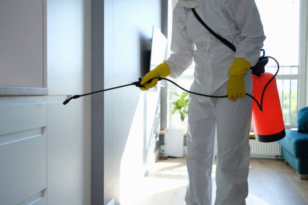 Best Office Mold Removal Services  in Tylertown, MS