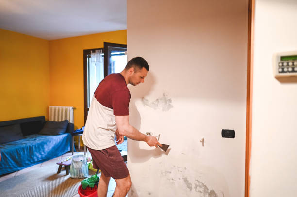Best Crawl Space Mold Removal  in Tylertown, MS