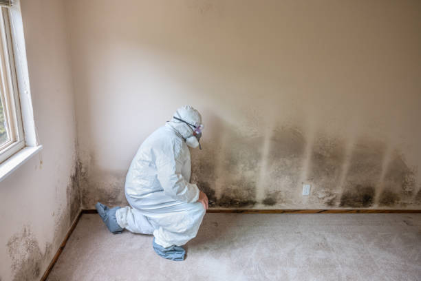 Best Mold Removal Process  in Tylertown, MS