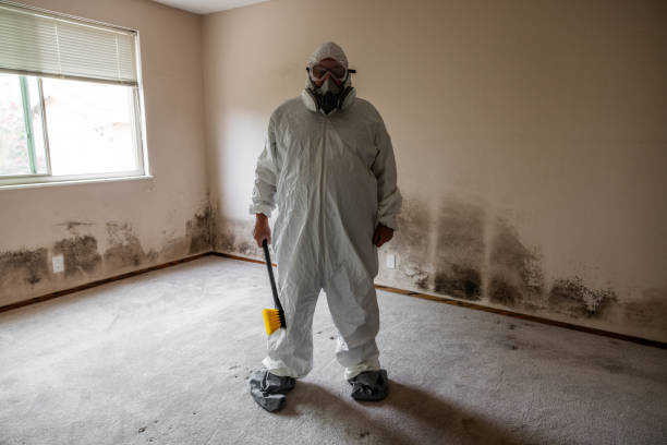Best Professional Mold Removal  in Tylertown, MS